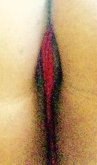 Real Sex Contact in Garden