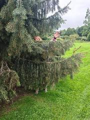 Real Sex Contact in Villa ridge