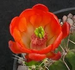 Real Sex Contact in Washington navy yard