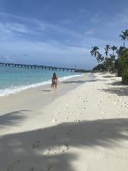 Real Sex Contact in Panacea