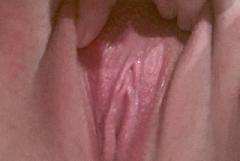 Real Sex Contact in Sharon