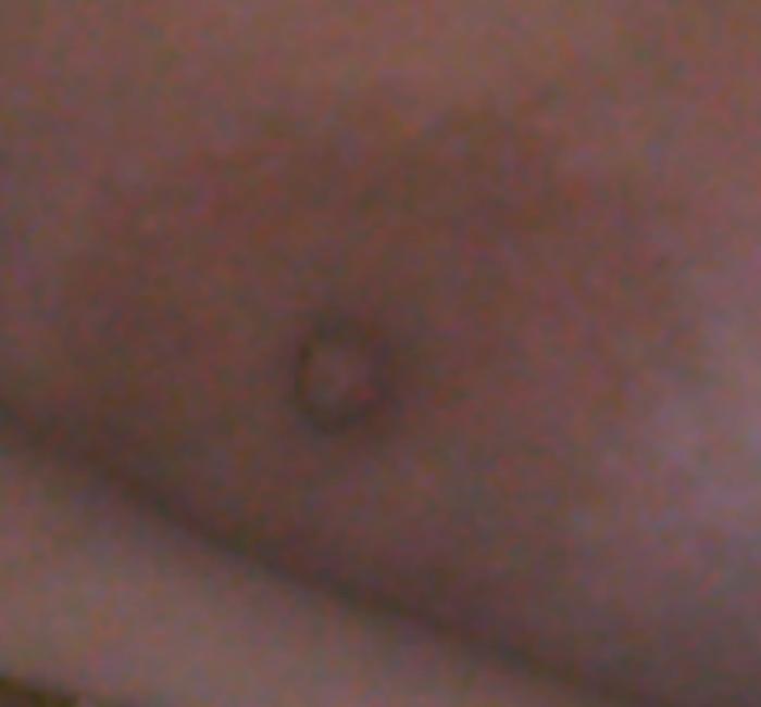 mellons101 age 45 from Howell, Michigan