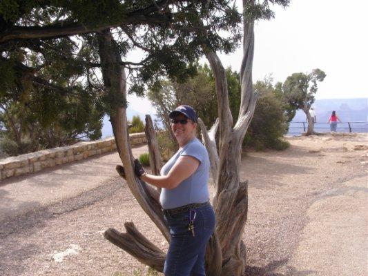 jackieinflag age 69 from Flagstaff, Arizona