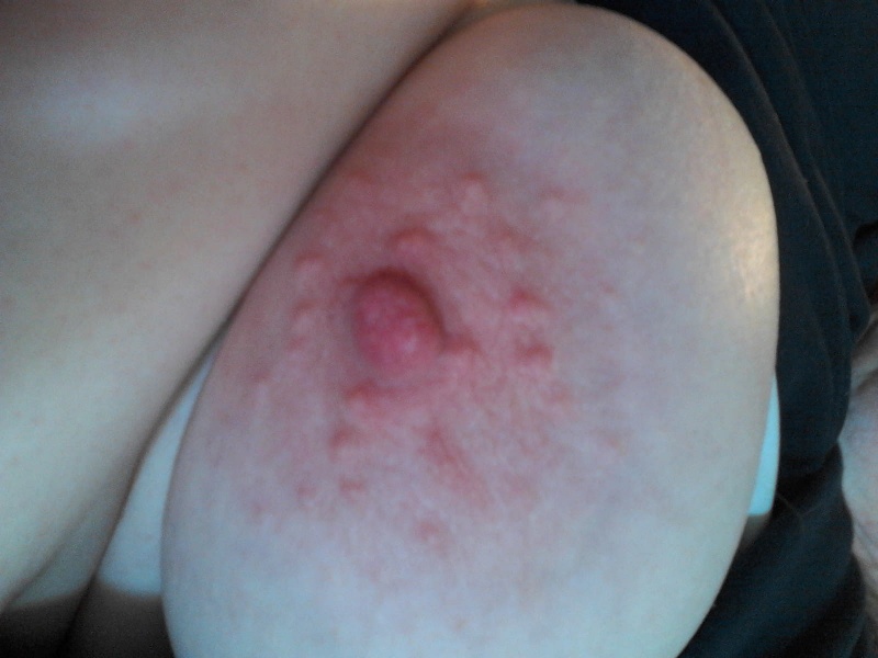 roughlover1970 age 55 from Fort Madison, Iowa