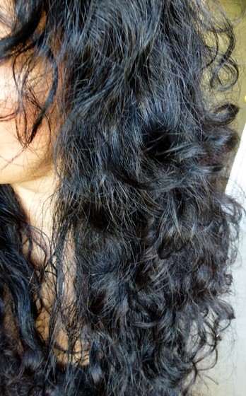 Real Sex Contact in Florence