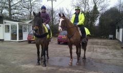 petsrme123 in Hereford