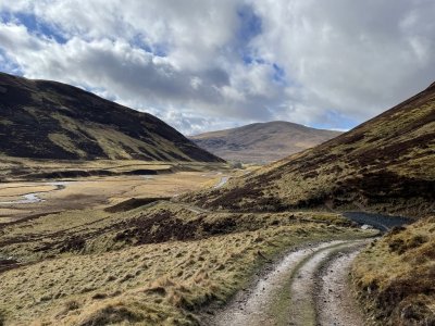 ***starry-eyed**** (41) – Dundee contact