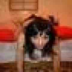 candkink profile photo