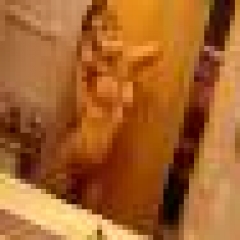 xxxtasybabe profile photo