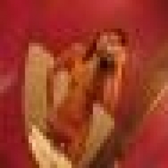 sweetkisslips profile photo