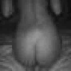 ShyKittty profile photo