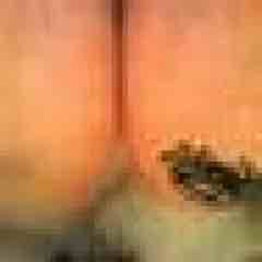 funlover2008 profile photo