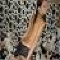 nostress520 profile photo