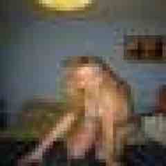 supersucka profile photo