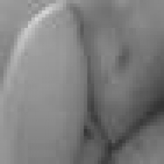 one4fun profile photo