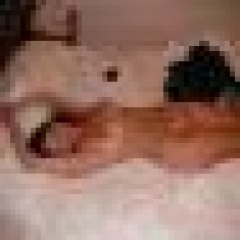 inver-yesss profile photo